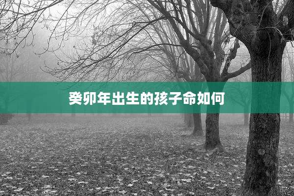 癸卯年出生的孩子命如何