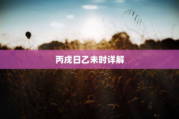 丙戌日乙未时详解