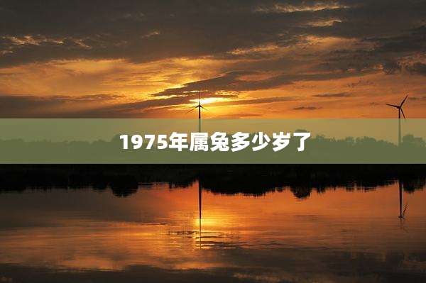 1975年属兔多少岁了