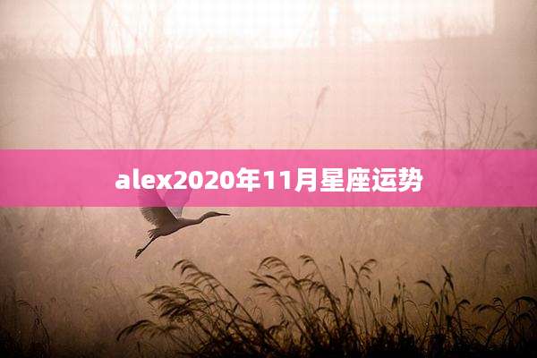 alex2020年11月星座运势