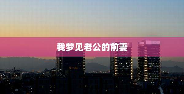我梦见老公的前妻