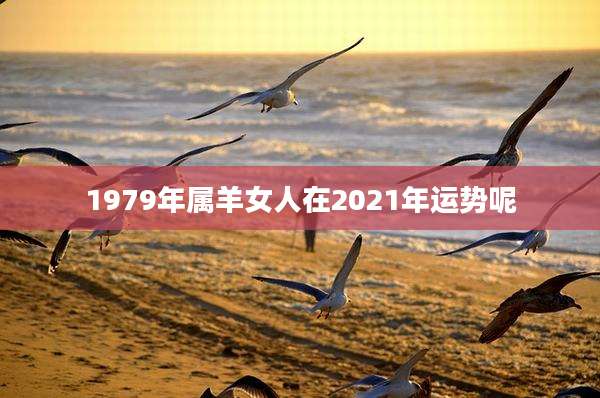 1979年属羊女人在2021年运势呢