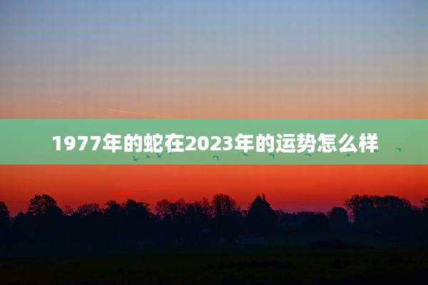 1977年的蛇在2023年的运势怎么样
