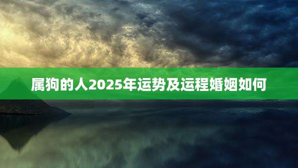 属狗的人2025年运势及运程婚姻如何