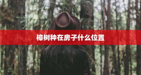 樟树种在房子什么位置