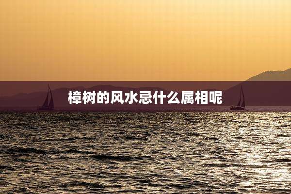 樟树的风水忌什么属相呢