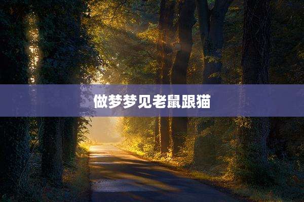 做梦梦见老鼠跟猫