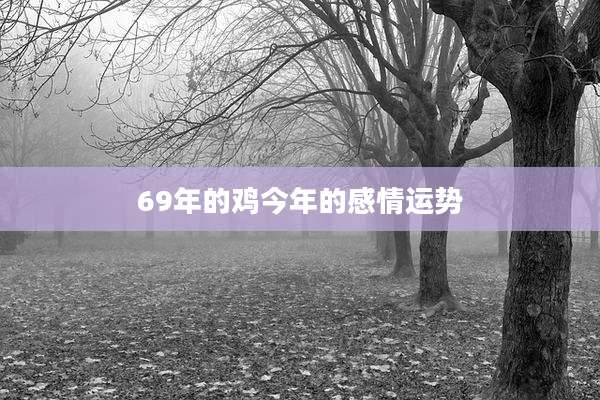 69年的鸡今年的感情运势