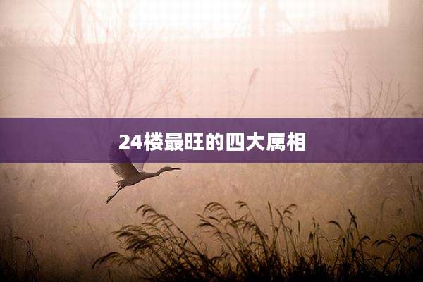 24楼最旺的四大属相