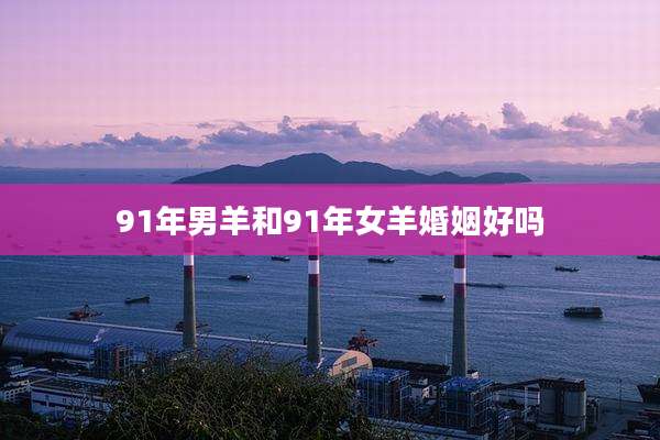 91年男羊和91年女羊婚姻好吗