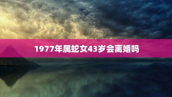 1977年属蛇女43岁会离婚吗