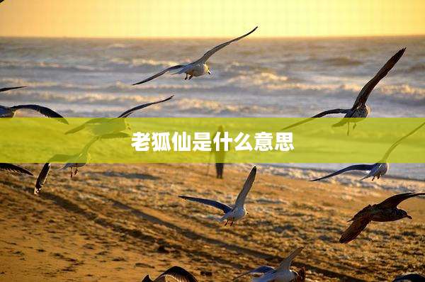 老狐仙是什么意思