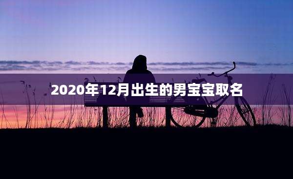 2020年12月出生的男宝宝取名
