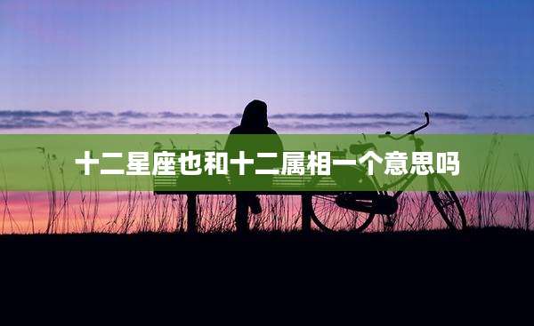 十二星座也和十二属相一个意思吗