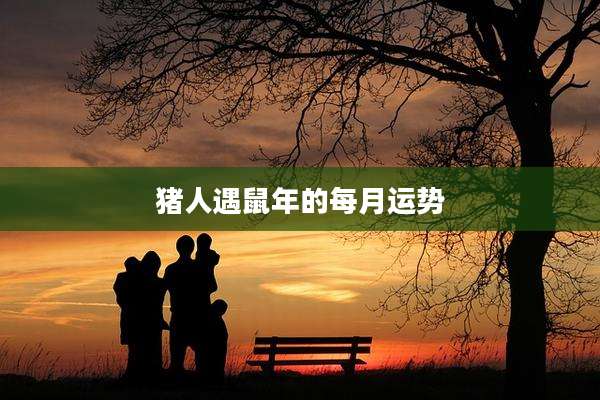 猪人遇鼠年的每月运势