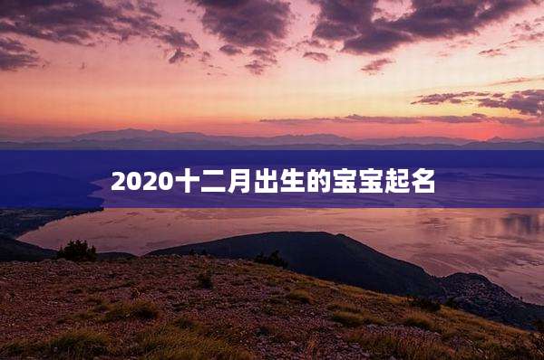 2020十二月出生的宝宝起名