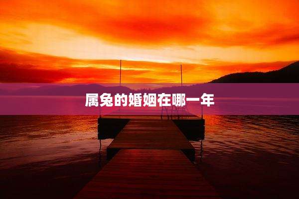 属兔的婚姻在哪一年