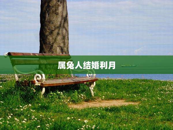 属兔人结婚利月