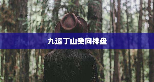 九运丁山癸向排盘