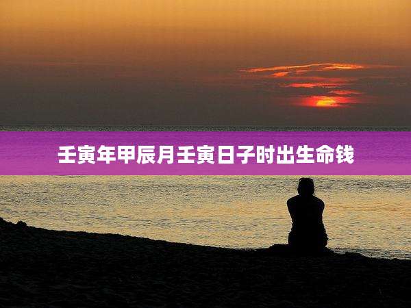 壬寅年甲辰月壬寅日子时出生命钱