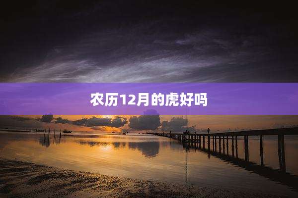 农历12月的虎好吗