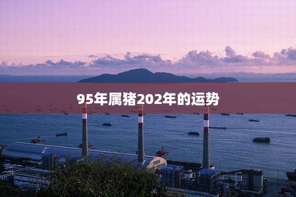 95年属猪202年的运势