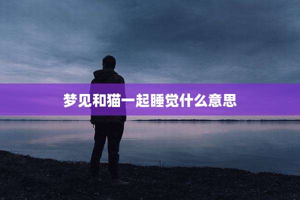 梦见和猫一起睡觉什么意思