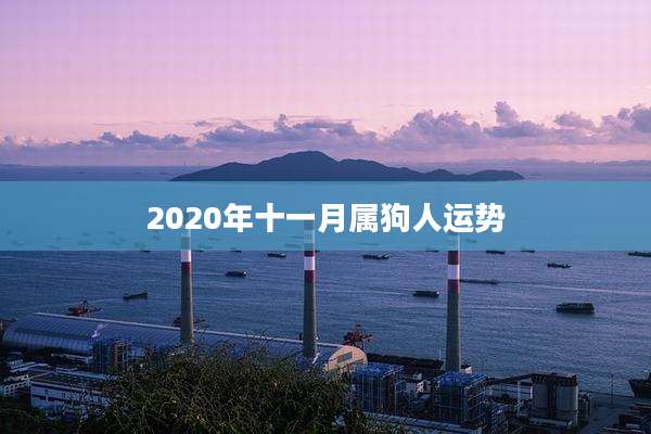 2020年十一月属狗人运势