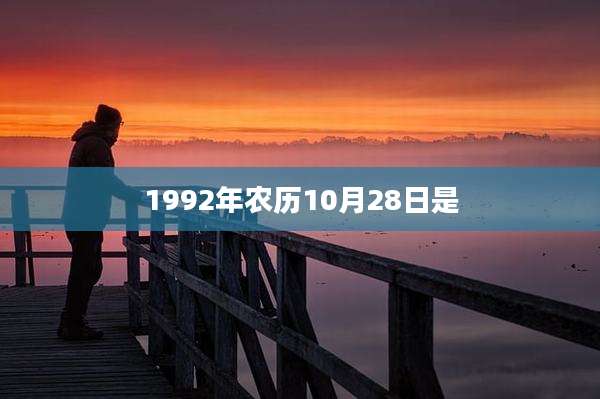 1992年农历10月28日是