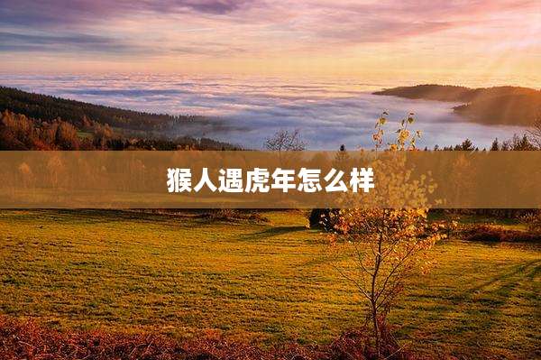 猴人遇虎年怎么样