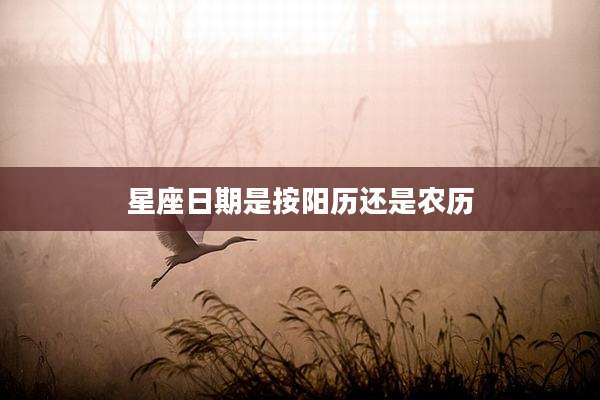 星座日期是按阳历还是农历