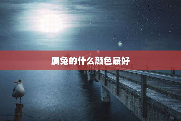 属兔的什么颜色最好