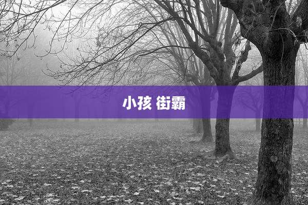 小孩 街霸