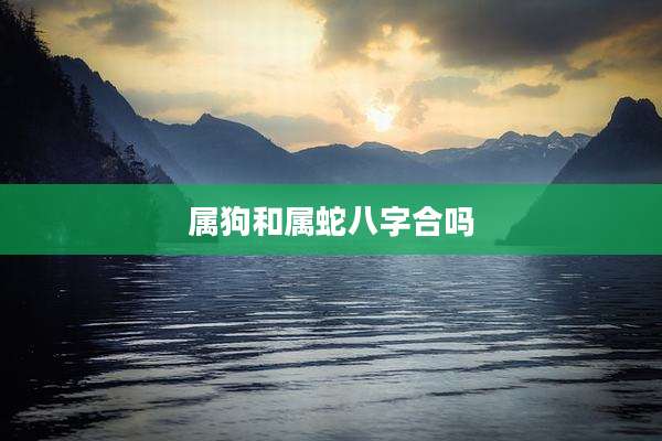 属狗和属蛇八字合吗