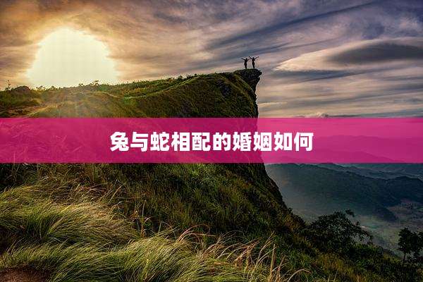 兔与蛇相配的婚姻如何