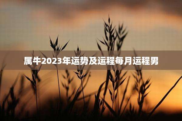 属牛2023年运势及运程每月运程男