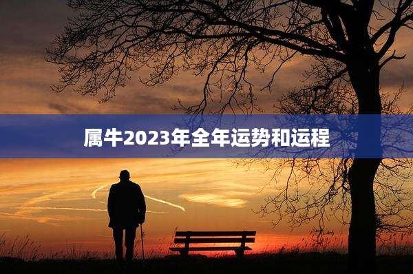 属牛2023年全年运势和运程