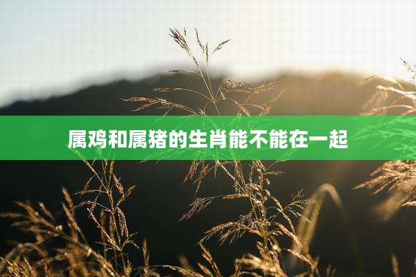属鸡和属猪的生肖能不能在一起