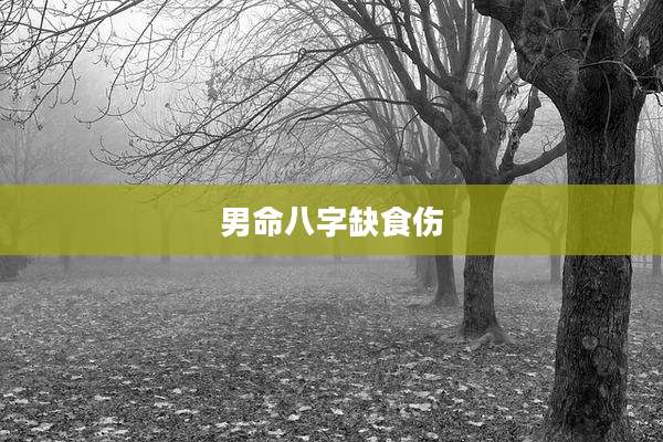 男命八字缺食伤