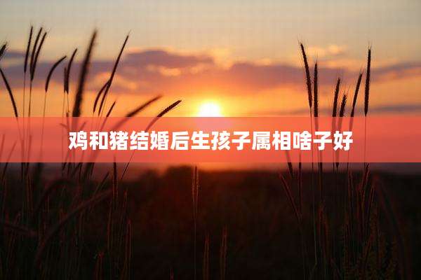 鸡和猪结婚后生孩子属相啥子好