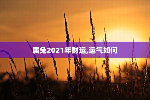 属兔2021年财运,运气如何