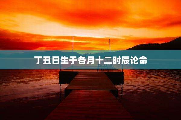 丁丑日生于各月十二时辰论命