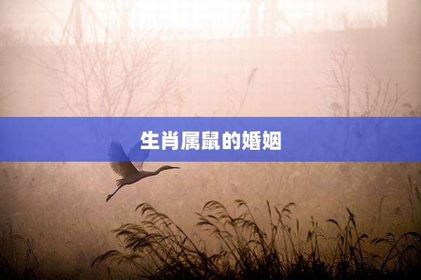 生肖属鼠的婚姻
