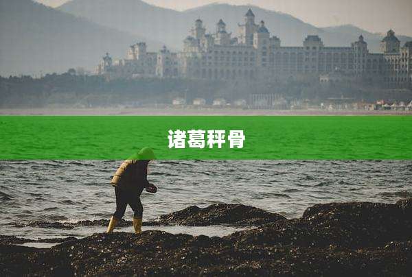 诸葛秤骨