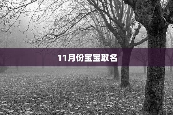 11月份宝宝取名