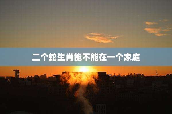 二个蛇生肖能不能在一个家庭