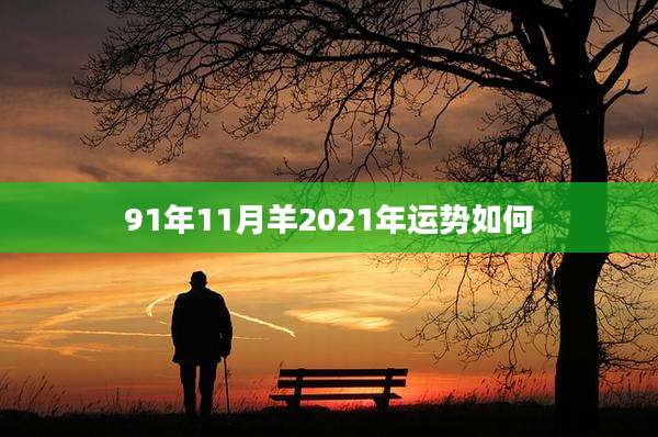 91年11月羊2021年运势如何