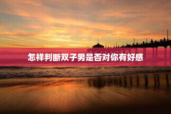 怎样判断双子男是否对你有好感