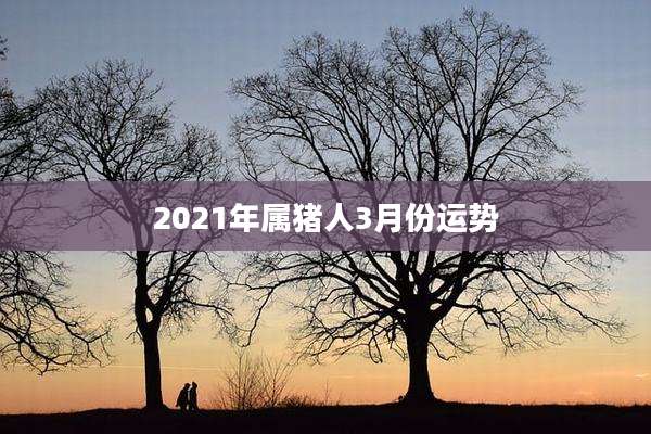 2021年属猪人3月份运势