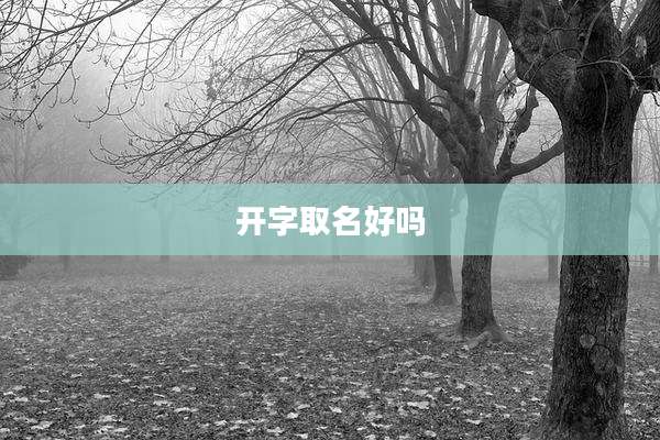 开字取名好吗